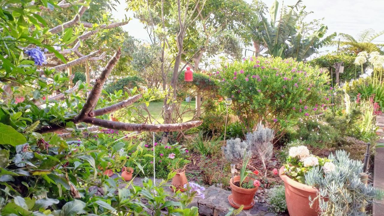 La Chambre De Ker Briac Funchal  Ngoại thất bức ảnh